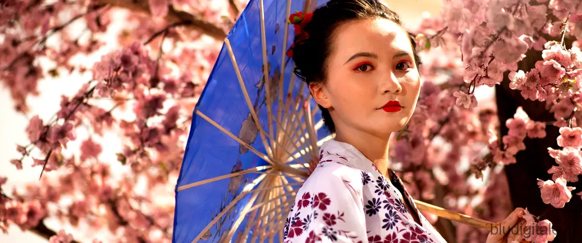 Cosa significa essere una geisha?