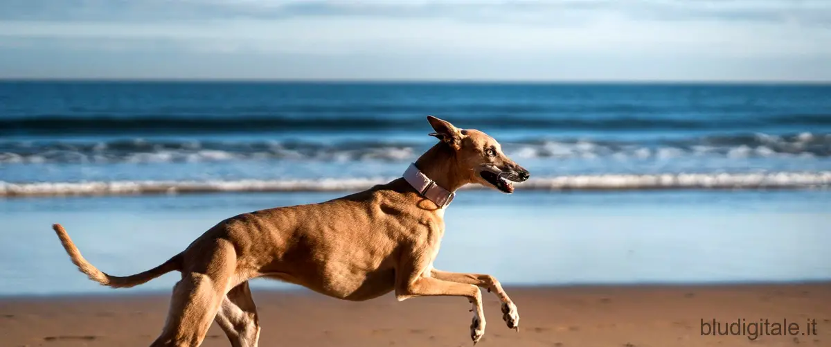 Greyhound: il nemico invisibile - la caccia al sottomarino nemico
