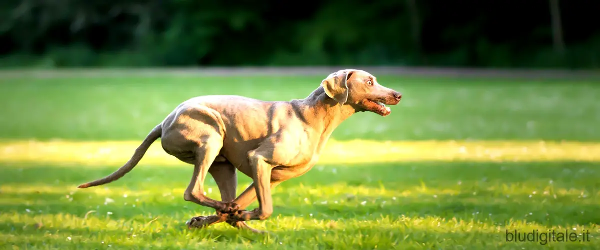 Greyhound: il nemico invisibile - la sfida contro il pericolo