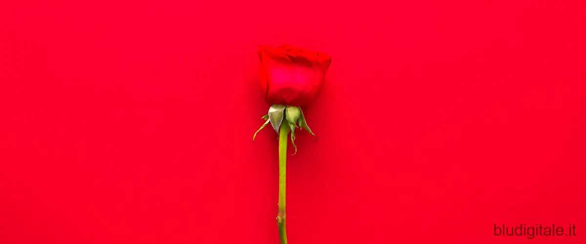 La guerra dei Roses: il nuovo film su Netflix: il lato oscuro del matrimonio