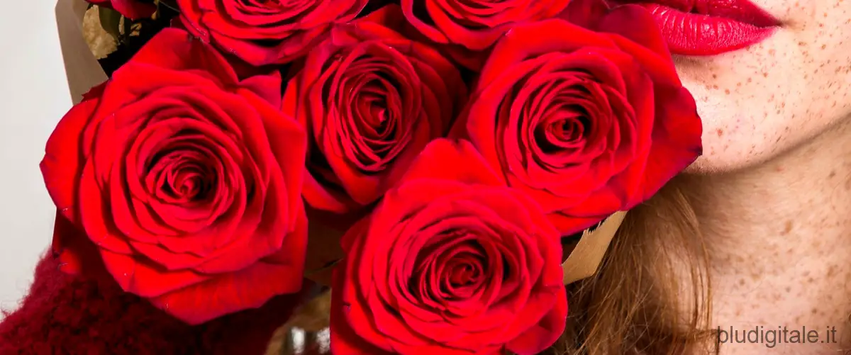 La guerra dei Roses: il nuovo film su Netflix: una storia di amore e vendetta