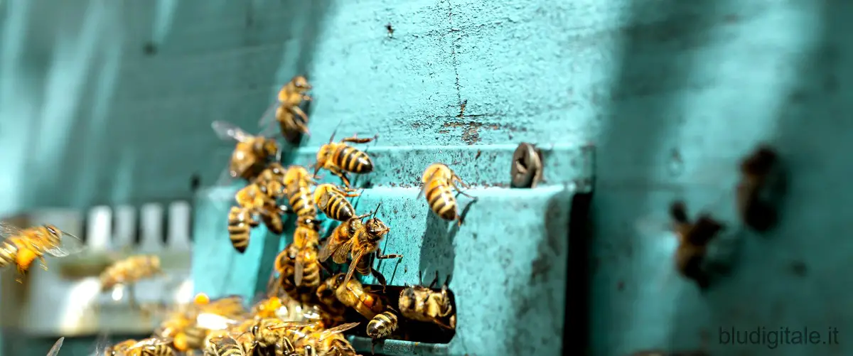 La vita segreta delle api: scopri il finale di questo film su Netflix